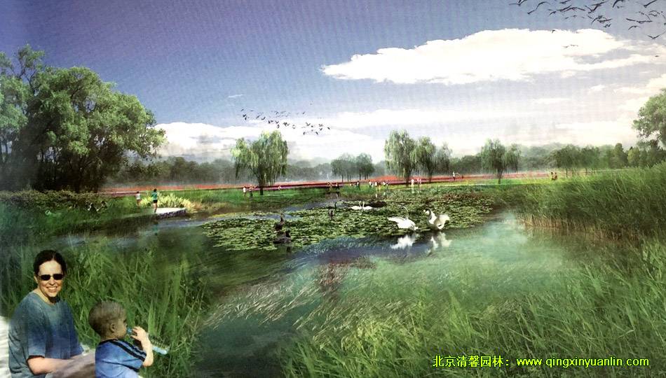 大潘森林公園 景觀設計案例展示