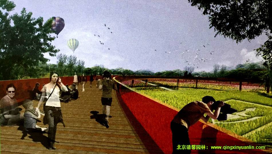 大潘森林公園 景觀設計案例展示