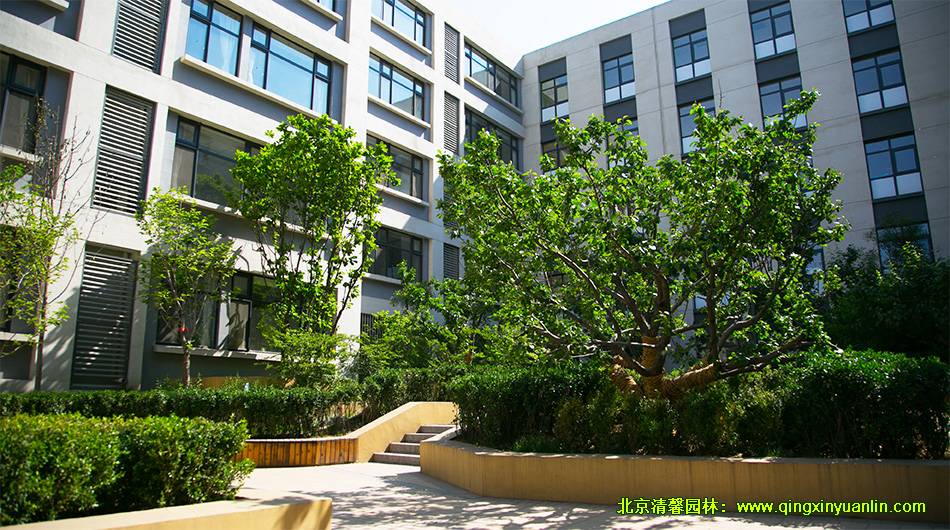 中糧萬科 長陽項目 小學園林
