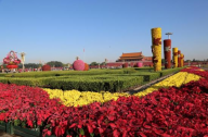 天安門廣場(chǎng)國(guó)慶花卉布置 自主新品種首亮相