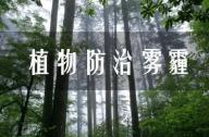 PM2.5有的治嗎？