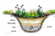 什么是雨水花園？雨水花園和普通花園有什么區(qū)別？